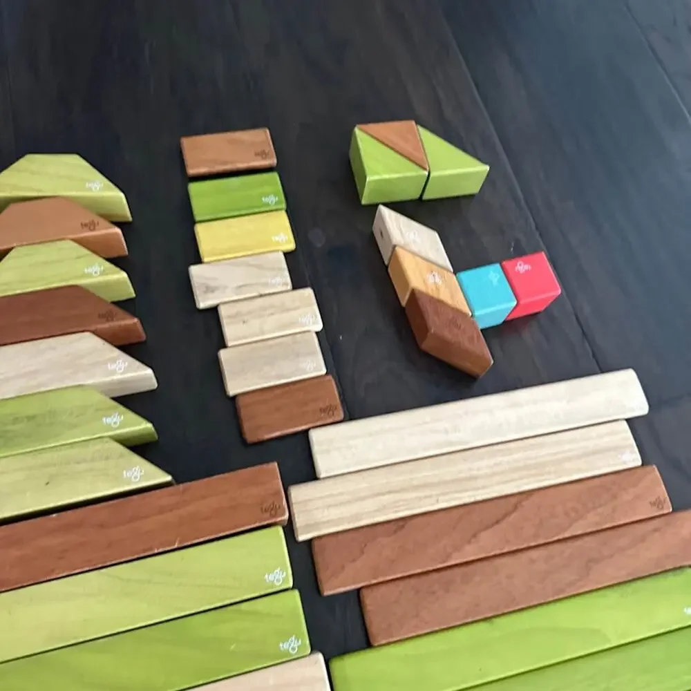 52 Piece Set Magnetic Wooden Blocks Tegu Classics